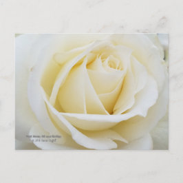 Bild från Pristine vit ros Vykort