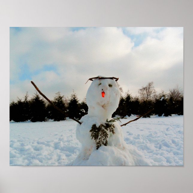 Bild från Real snögubbe Poster (Framsidan)