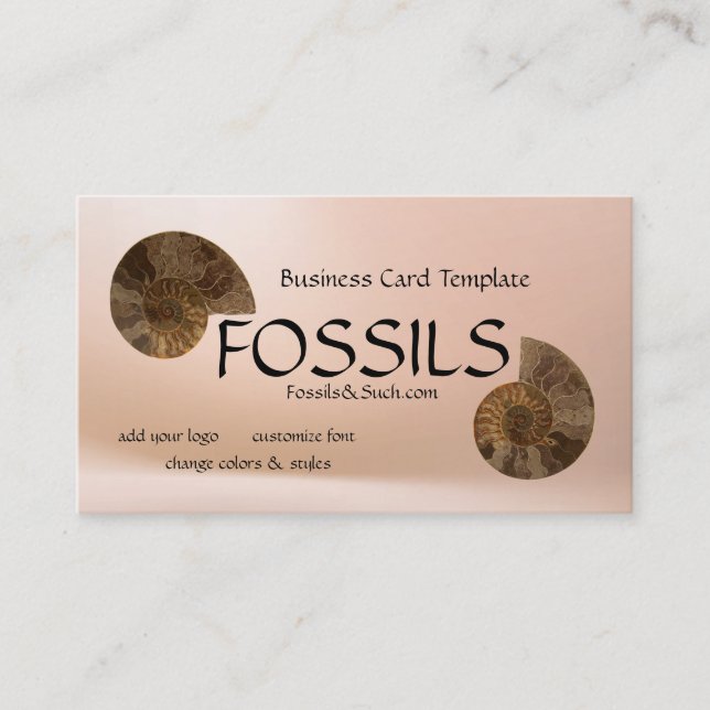 Bild i Ammonites Fossils Visitkort (Framsida)