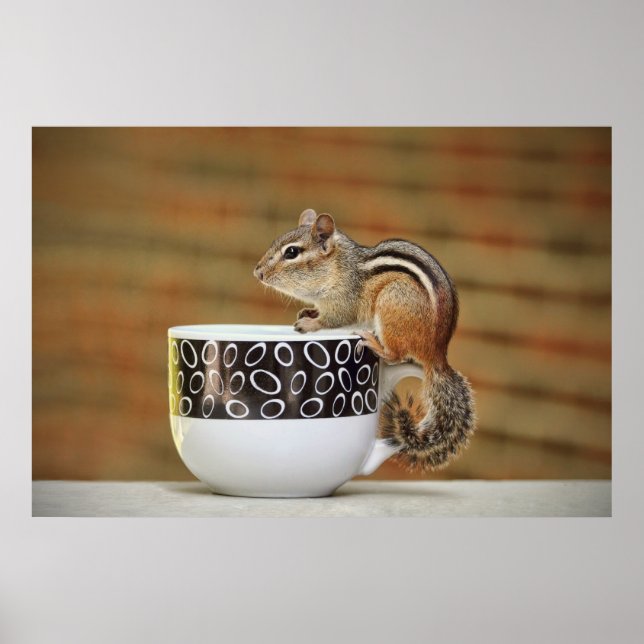 Bild i Chipmunk med latte-kaffe Kopp Poster (Framsidan)