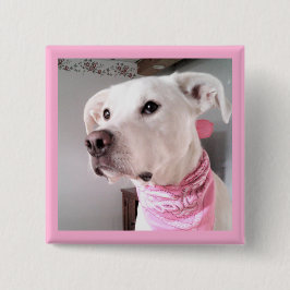 Bild i Cute White Puppy Hund med Rosa Scarf Knapp