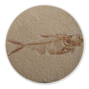 Bild i fiskskorsten, sandsten, keramiskt knopp