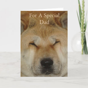 bild i hund som lekte för pappa kort