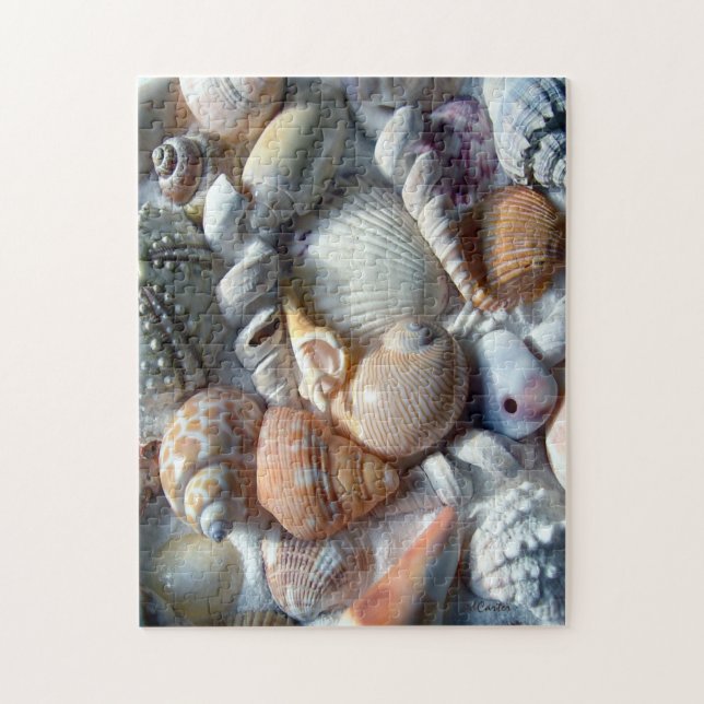 Bild i Seashells Puzzle Pussel (Vertikal)