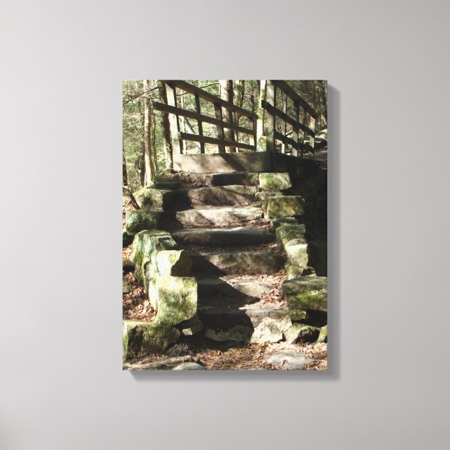 BILD i TRAPPOR i SKOGEN (Framsida)