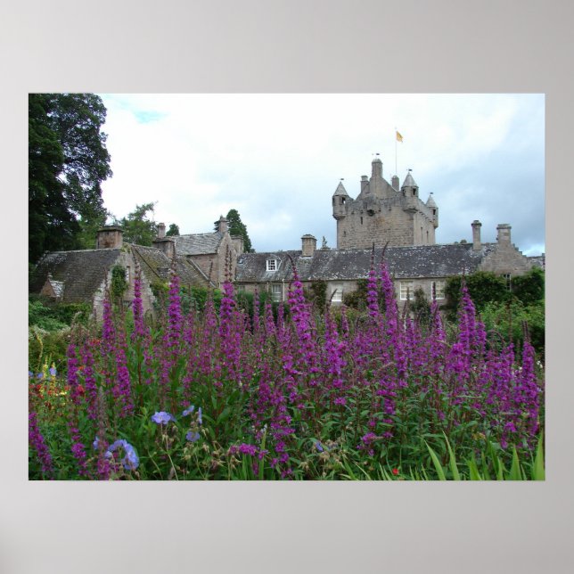 Bild Lila Poster (Framsidan)