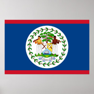 Bild med Flagga Belize Poster