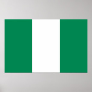 Bild med Nigerias Flagga Poster