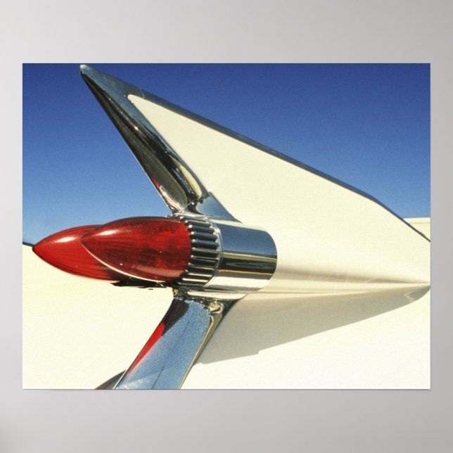 Bild: Nära upp fenan och tät till på Poster (Framsidan)