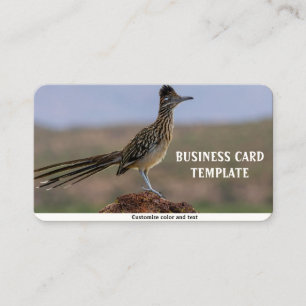 Bild Nature Desert Bird Roadrunner Visitkort