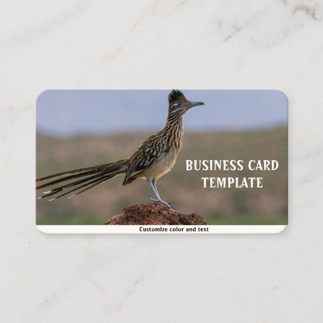 Bild Nature Desert Bird Roadrunner Visitkort (Framsida)