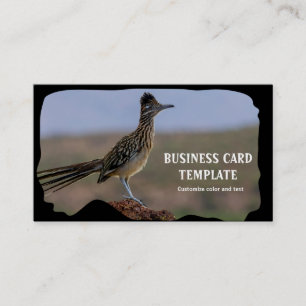 Bild Nature Desert Bird Roadrunner Visitkort