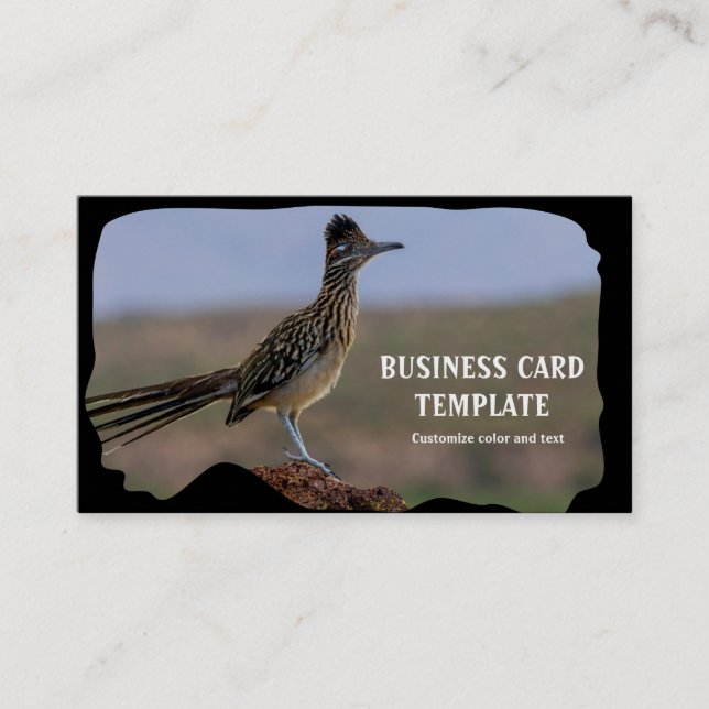 Bild Nature Desert Bird Roadrunner Visitkort (Framsida)