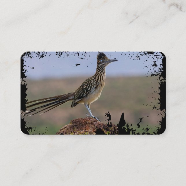 Bild Nature Desert Bird Roadrunner Visitkort (Framsida)