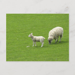 Bild om ett Baby får med hennes Mor Vykort