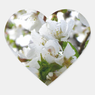 Bild på blommar för vit blommigt i elegant hjärtformat klistermärke