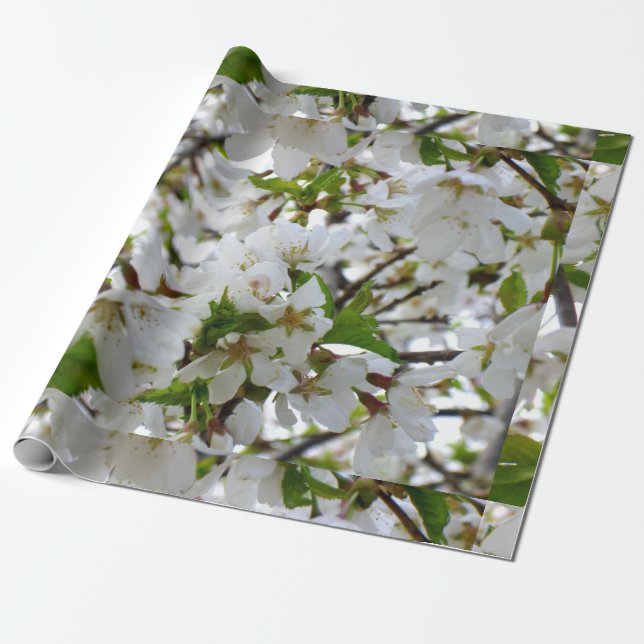 Bild på blommar för vit blommigt i elegant presentpapper (Utrullad)