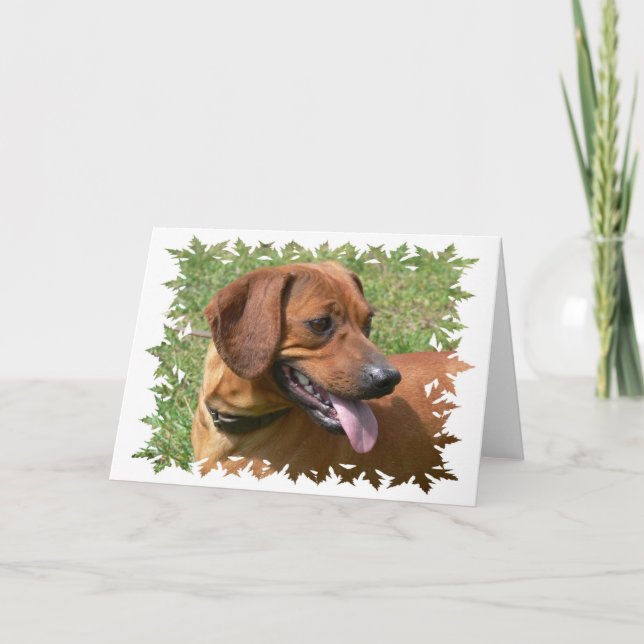 Bild på ett Dachshund-Hund-gratulationskort Kort (Framsida)