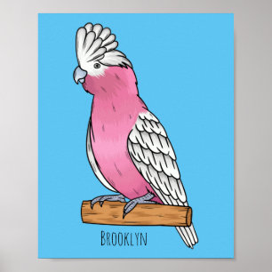 Bild på Galah-fåglars tecknad Poster