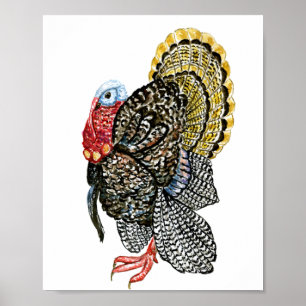 Bild på hand plockade i Turkiet Poster