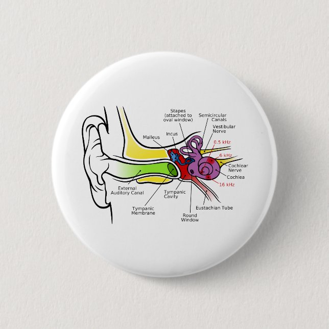 Bild på humant öröronmärke med karosserifrekvensma knapp (Framsida)