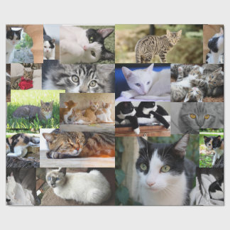 Bild på olika katter presentpapper