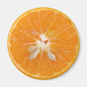Bild på segment i orangen magnet