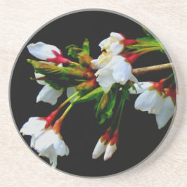 Bild på White Cherry Blommar Underlägg