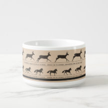 Bild på zoetrope antique animal animation