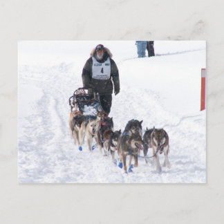 bild Perfekt 2009 UPP 200 vykort