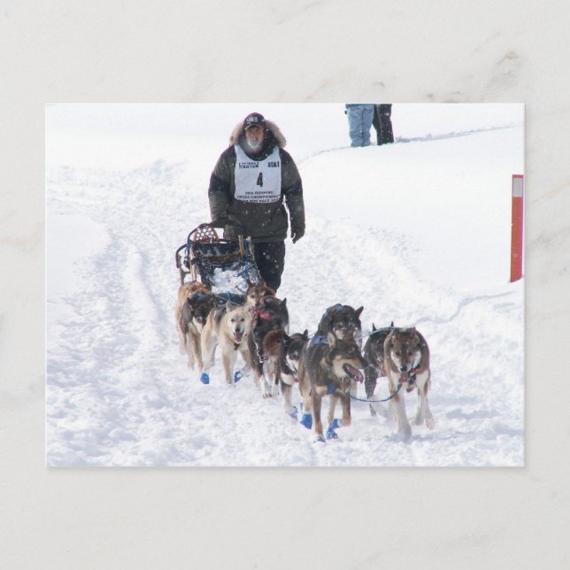 bild Perfekt 2009 UPP 200 vykort (Framsida)