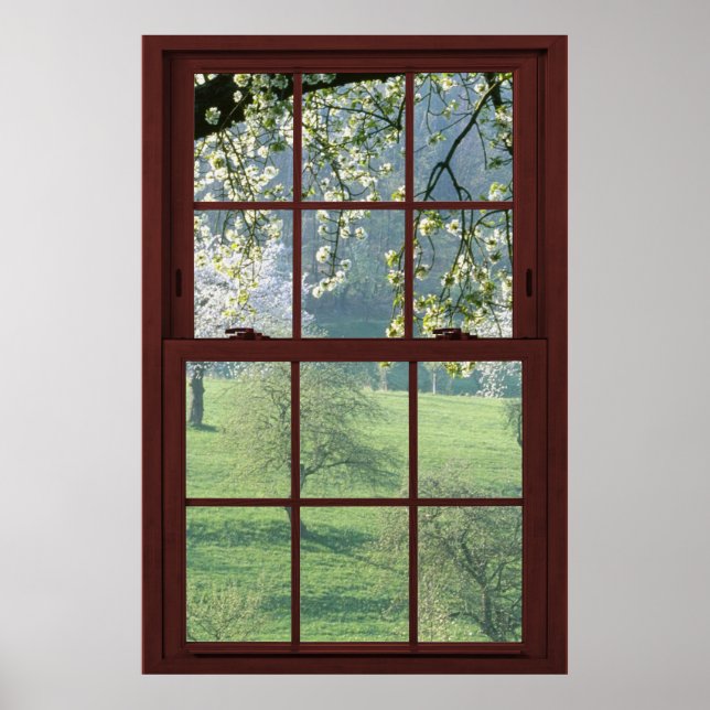 Bild Window Ligcape - Cherry Blommars. Poster (Framsidan)