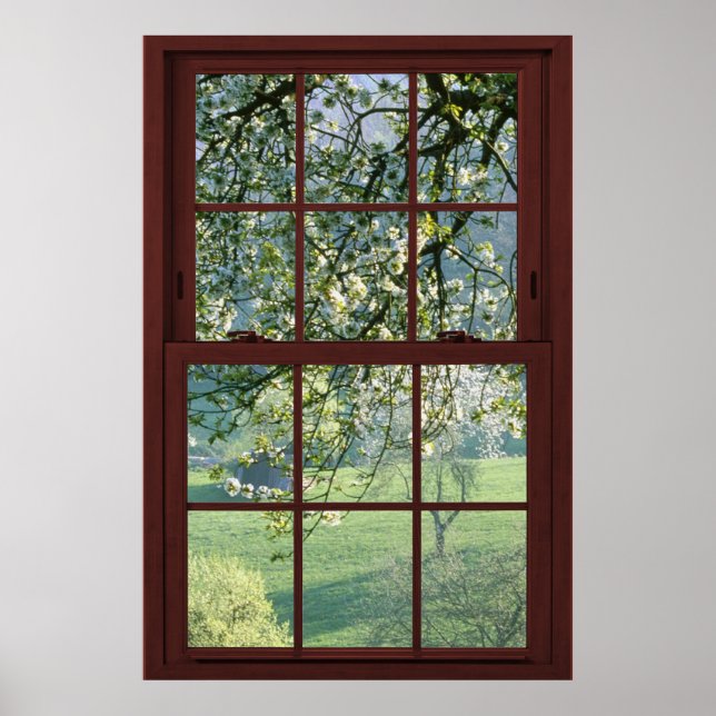 Bild Window Ligcape - Cherry Blommars. Poster (Framsidan)