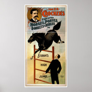 Bildada hästar, ponnyer, åsnor och Mules Poster