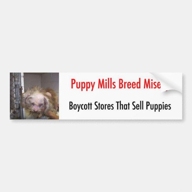 Bildekal (Framsidan)