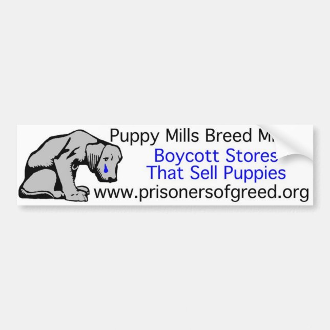 Bildekal (Framsidan)