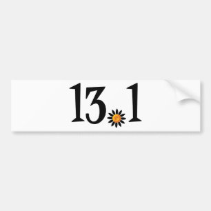 bildekal 13,1