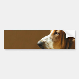 Bildekal för Bassethundfoto