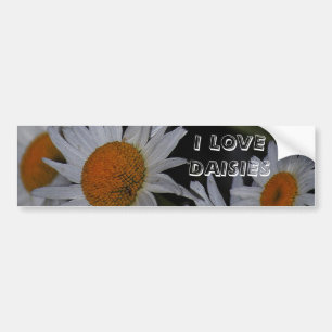 Bildekal för blommor för daisydaisydaisy