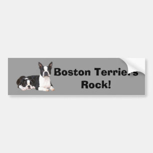 Bildekal för Boston Terrierkompisar