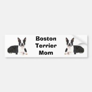 Bildekal för Boston Terriermamma