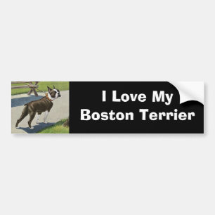 Bildekal för Boston Terriervintage