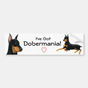 Bildekal för DobermanPinscherkärlek