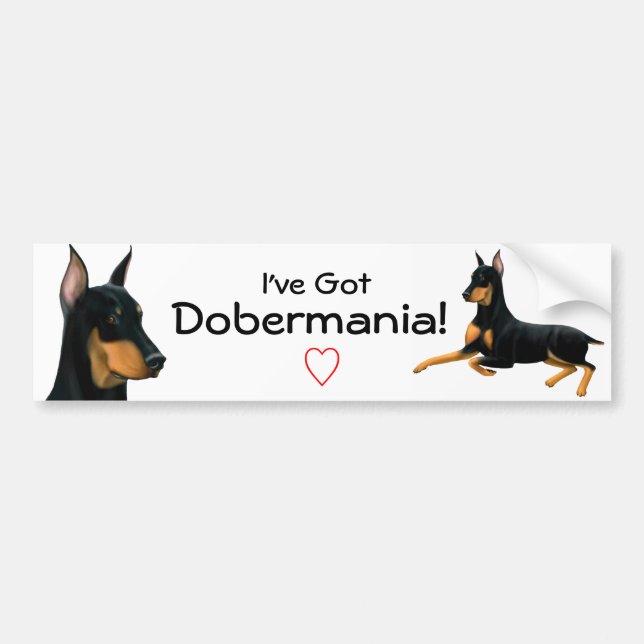 Bildekal för DobermanPinscherkärlek (Framsidan)