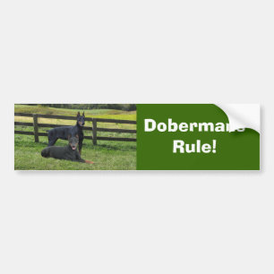 Bildekal för DobermanPinscherkompisar