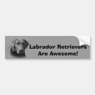 Bildekal för fantastisk för Labrador Retriever