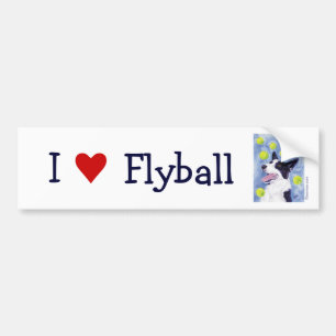 Bildekal för Flyball gränsCollie