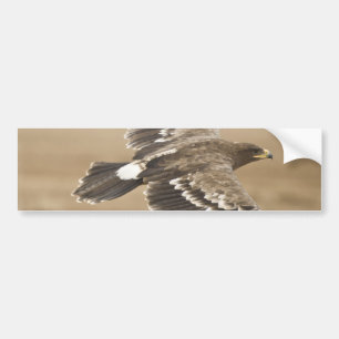 Bildekal för flygörnfågel