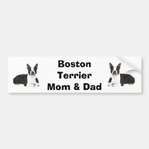 Bildekal för för Boston Terriermamma & pappa