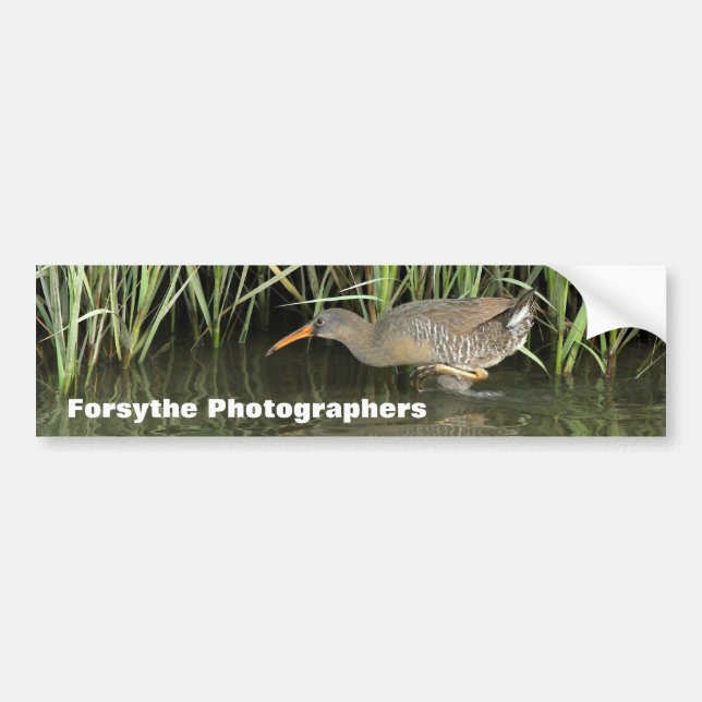 Bildekal för Forsythe fotografMeetup grupp (Framsidan)